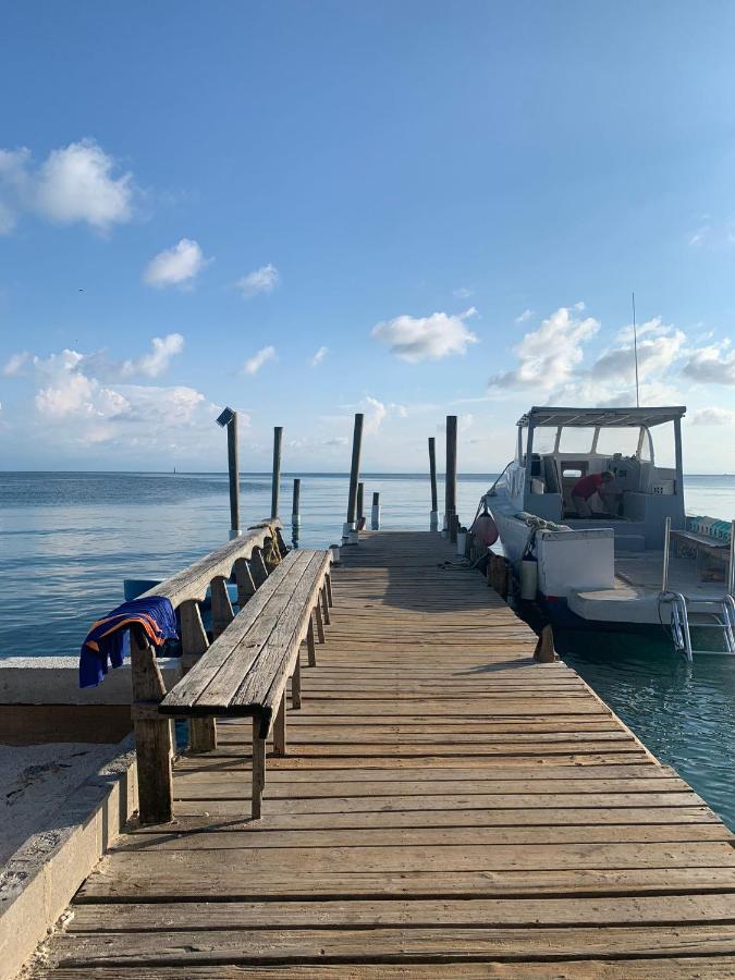 Paradise Divers Hotel Утила Екстериор снимка